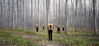 Color Awards Winners and Nominees