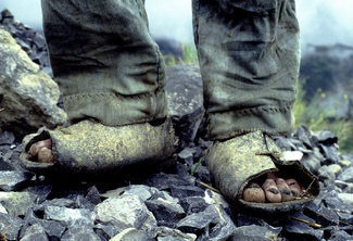 Color Awards Winners and Nominees