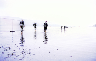 Color Awards Winners and Nominees