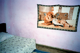 Color Awards Winners and Nominees