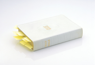 Color Awards Winners and Nominees