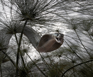 Color Awards Winners and Nominees