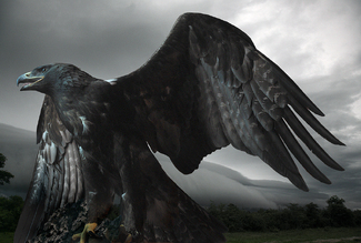 Color Awards Winners and Nominees