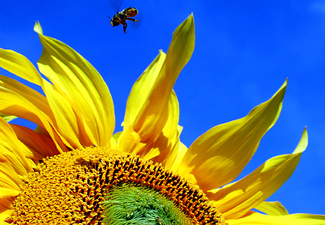 Color Awards Winners and Nominees