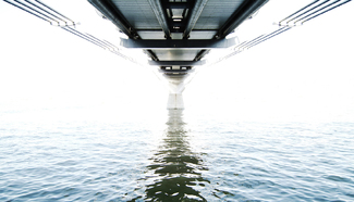 Color Awards Winners and Nominees