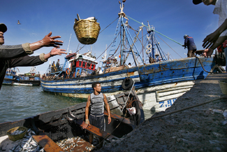 Color Awards Winners and Nominees