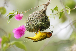 Color Awards Winners and Nominees