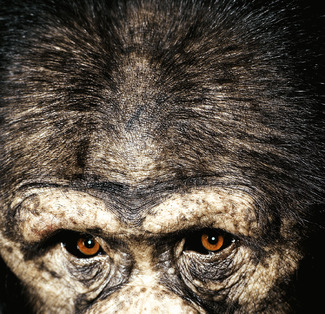 Color Awards Winners and Nominees