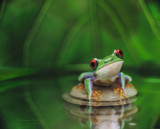 Color Awards Winners and Nominees