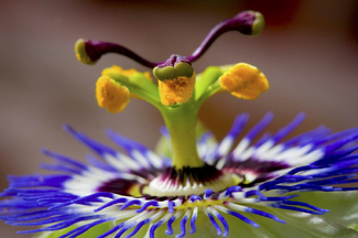 Color Awards Winners and Nominees