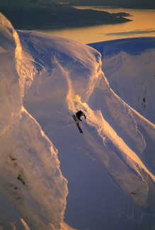 Color Awards Winners and Nominees