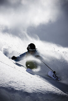 Color Awards Winners and Nominees