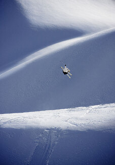 Color Awards Winners and Nominees