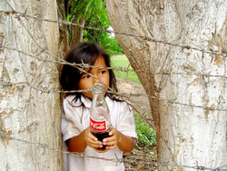 Color Awards Winners and Nominees