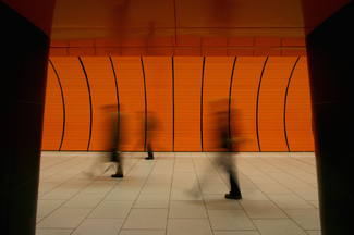 Color Awards Winners and Nominees