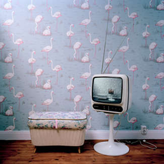 Color Awards Winners and Nominees