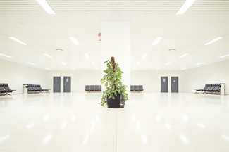 Color Awards Winners and Nominees