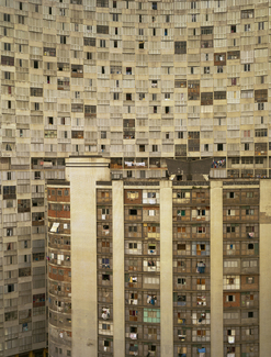 Color Awards Winners and Nominees