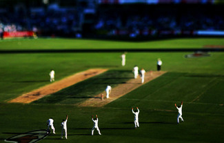 Color Awards Winners and Nominees