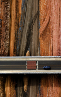 Color Awards Winners and Nominees