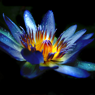 Color Awards Winners and Nominees