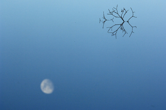 Color Awards Winners and Nominees