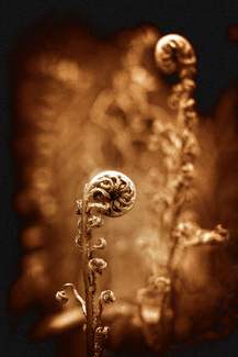 Color Awards Winners and Nominees