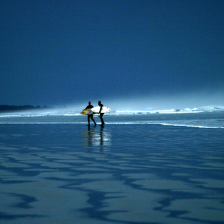 Color Awards Winners and Nominees