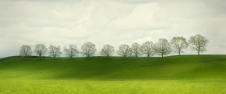 Color Awards Winners and Nominees