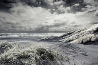 Color Awards Winners and Nominees