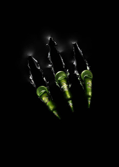 Color Awards Winners and Nominees