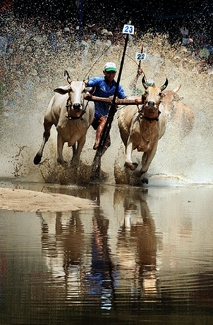 Color Awards Winners and Nominees