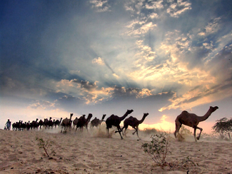 Color Awards Winners and Nominees