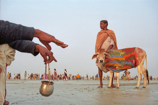 Color Awards Winners and Nominees