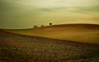 Color Awards Winners and Nominees