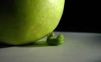 Color Awards Winners and Nominees