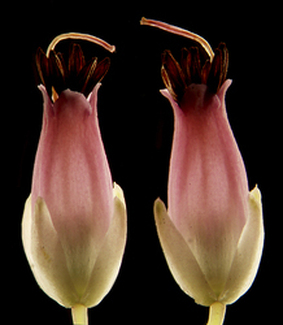 Color Awards Winners and Nominees