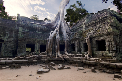 Angkor Temple