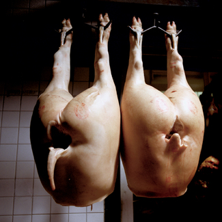 Color Awards Winners and Nominees