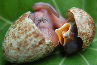 Color Awards Winners and Nominees