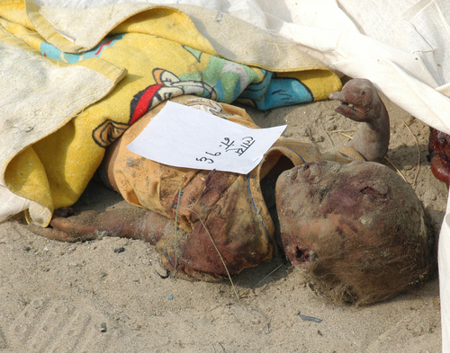 Hurt in Terrorist Ambush