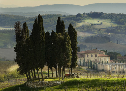 Tuscany Dreaming