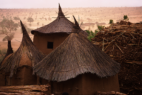 Granary Roofs. Dogon Country, Mali