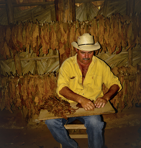 Cigar Artist