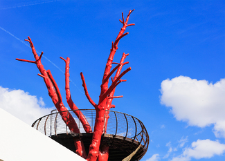 The Tree of Enlightenment Color Awards Winners and Nominees