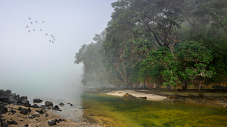 Sea Mist rolling in to the Estuary Color Awards Winners and Nominees