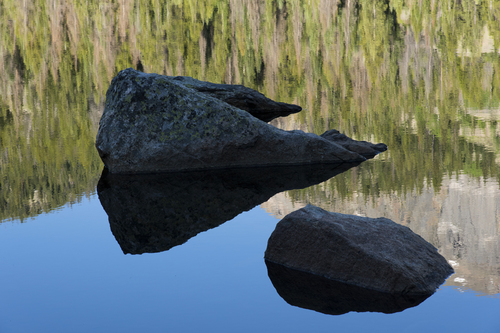 Bear Lake Reflection