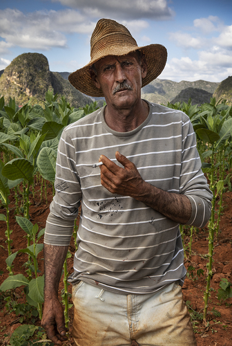 Fatigued Tobacco Picker, Vinales, Pinar del Rio, Cuba