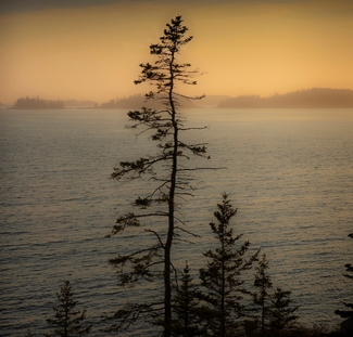 Soft Evening, Vinalhaven Island Color Awards Winners and Nominees
