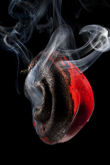 Red Ardent Pepper under the Grill Color Awards Winners and Nominees